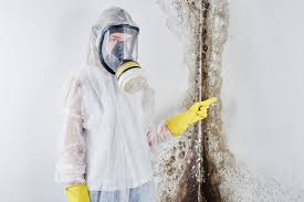 Mold Inspection